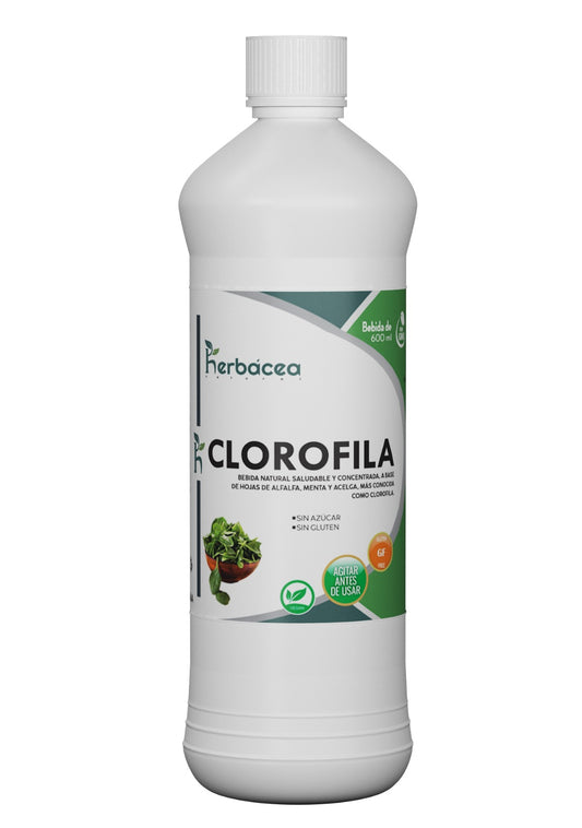 Extracto de Clorofila 600ml